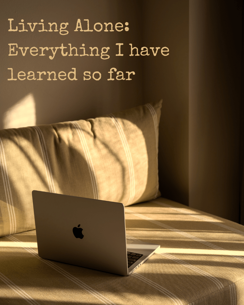 Living Alone : Everything I Have Learned So&nbsp;Far.